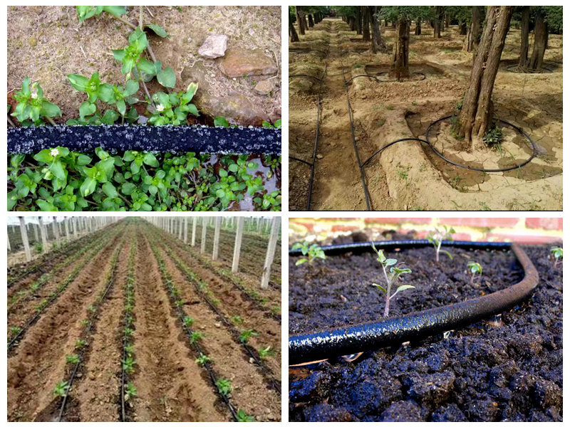 Bagaimana selang rendam karet digunakan untuk irigasi?